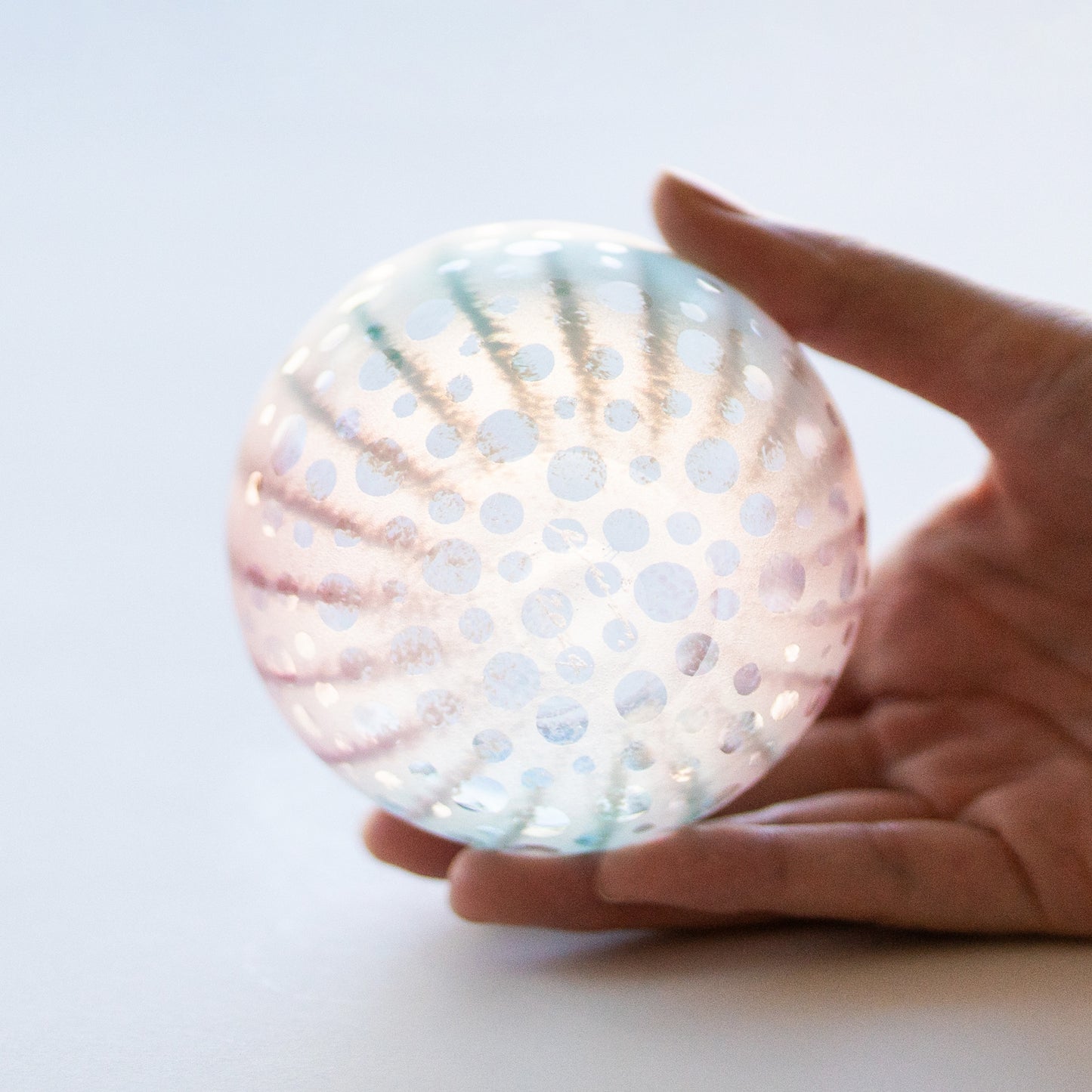 Licca Glass Cup