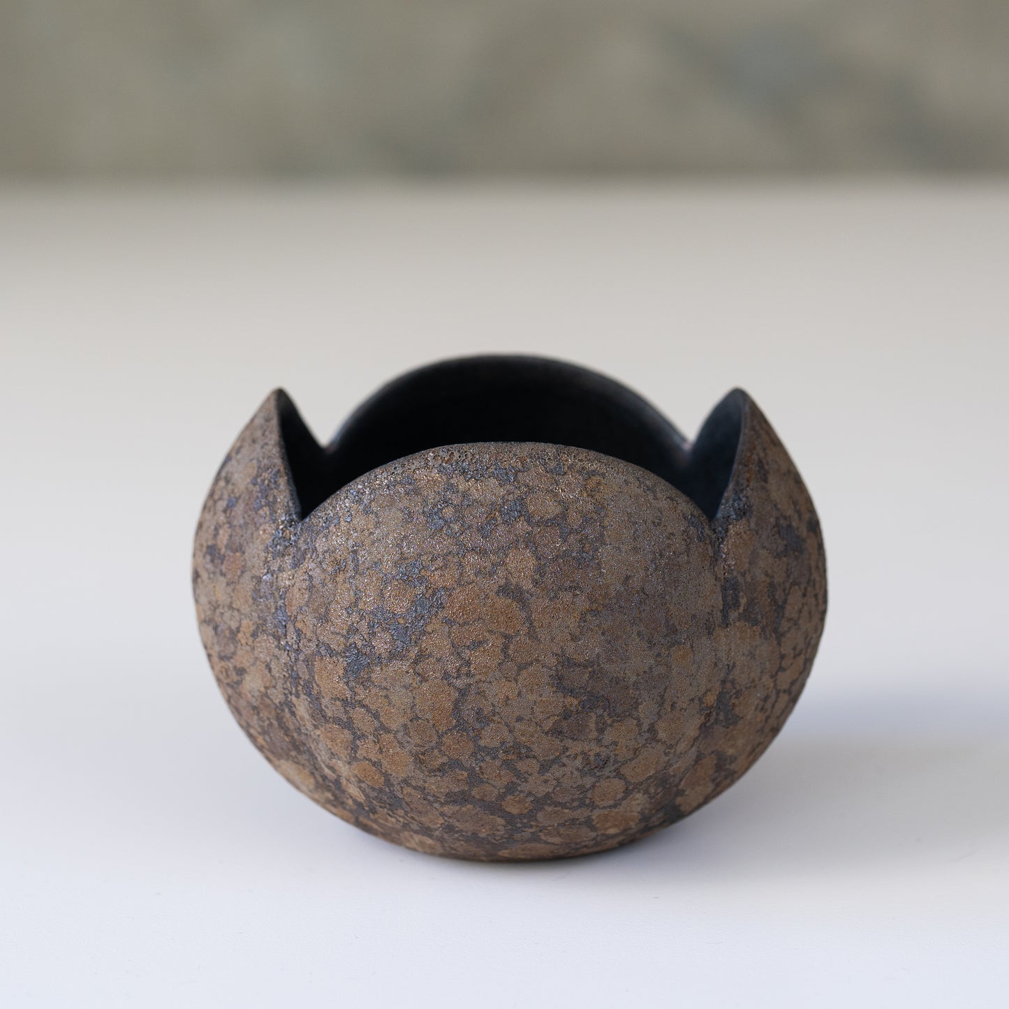 Kazuhiro Katase Bowl