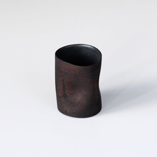 Kazuhiro Katase Cup